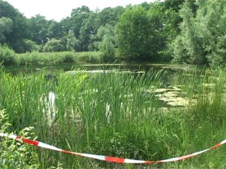 Hamminkeln : Gut Venninghausen, Teich im Wald